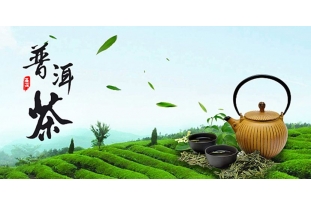 普洱茶消費的常態應該是品飲而不是收藏